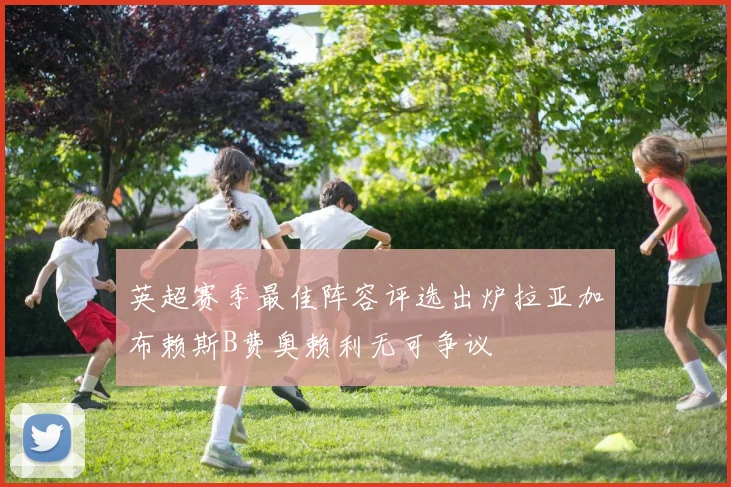 英超赛季最佳阵容评选出炉拉亚加布赖斯B费奥赖利无可争议